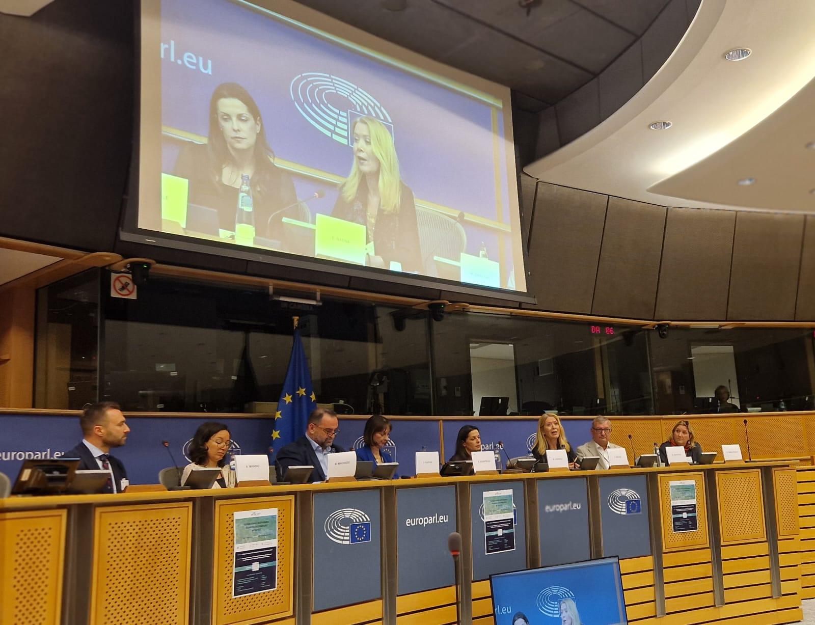D3HUB mentioned in the European Parliament